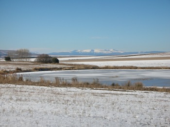 Laguna del Cubillo